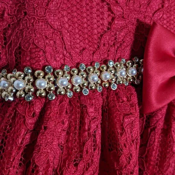 Classic Elegant Lace Dress| Sophisticated Playful Princesscore Vibes - Picture 2 of 8